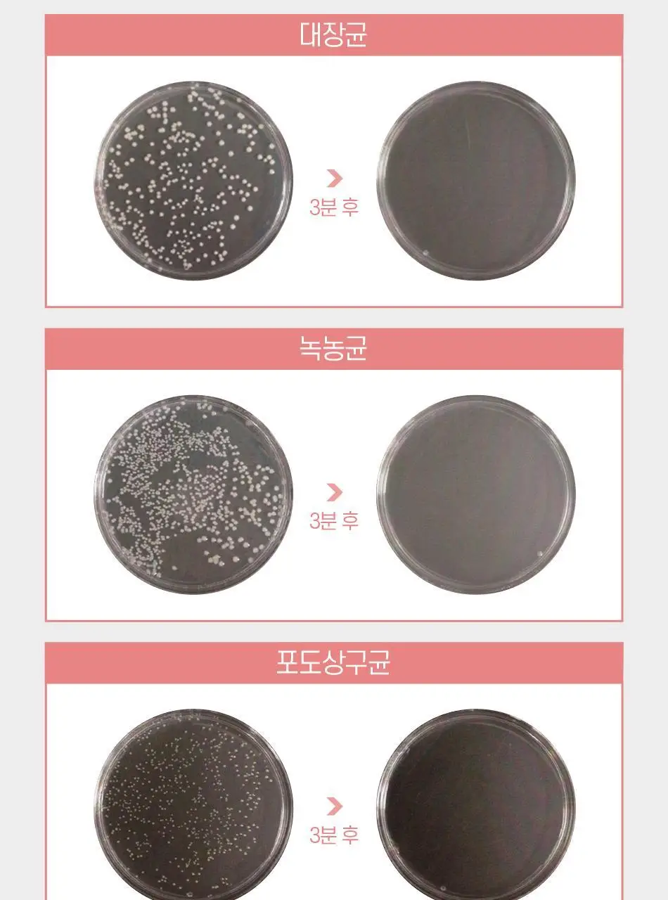 [C타입] WINS UVC LED 휴대용 칫솔살균기 (강아지) 상세페이지 23